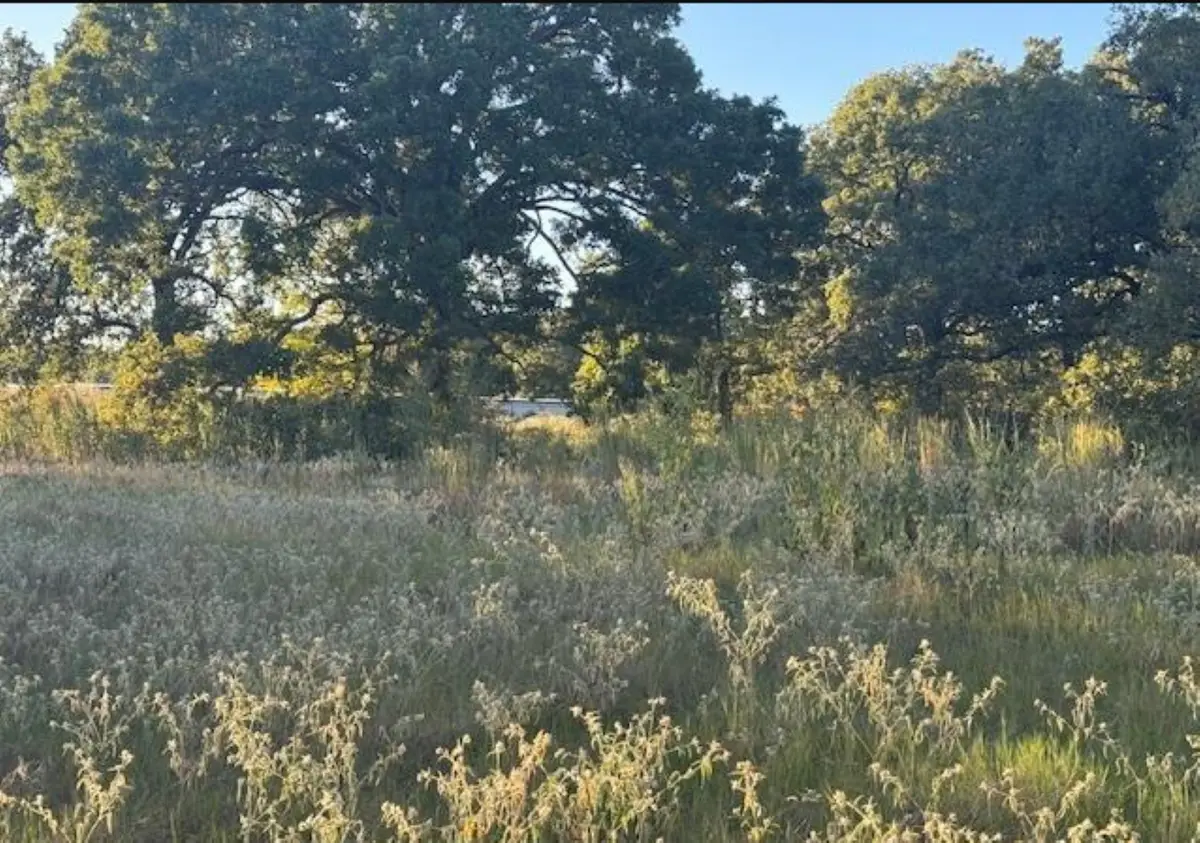 767 Welch Lane, Gun Barrel City, TX 75156 - Image #1