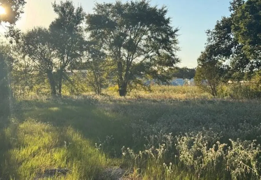 767 Welch Lane, Gun Barrel City, TX 75156 - Image #2