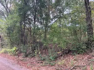 TBD Lot 17 Westwood Drive, Trinidad, TX 75163 - Image #3