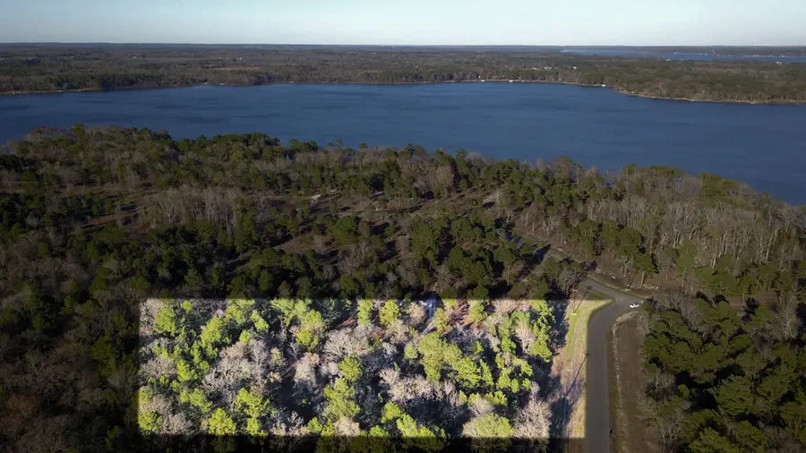 3729 Pinewood Way, Larue, TX 75770 - Image #2