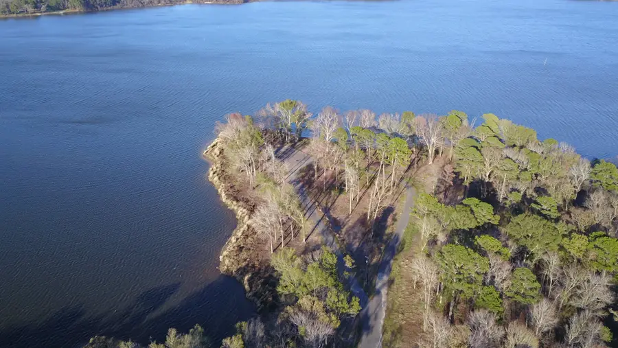 3729 Pinewood Way, Larue, TX 75770 - Image #3