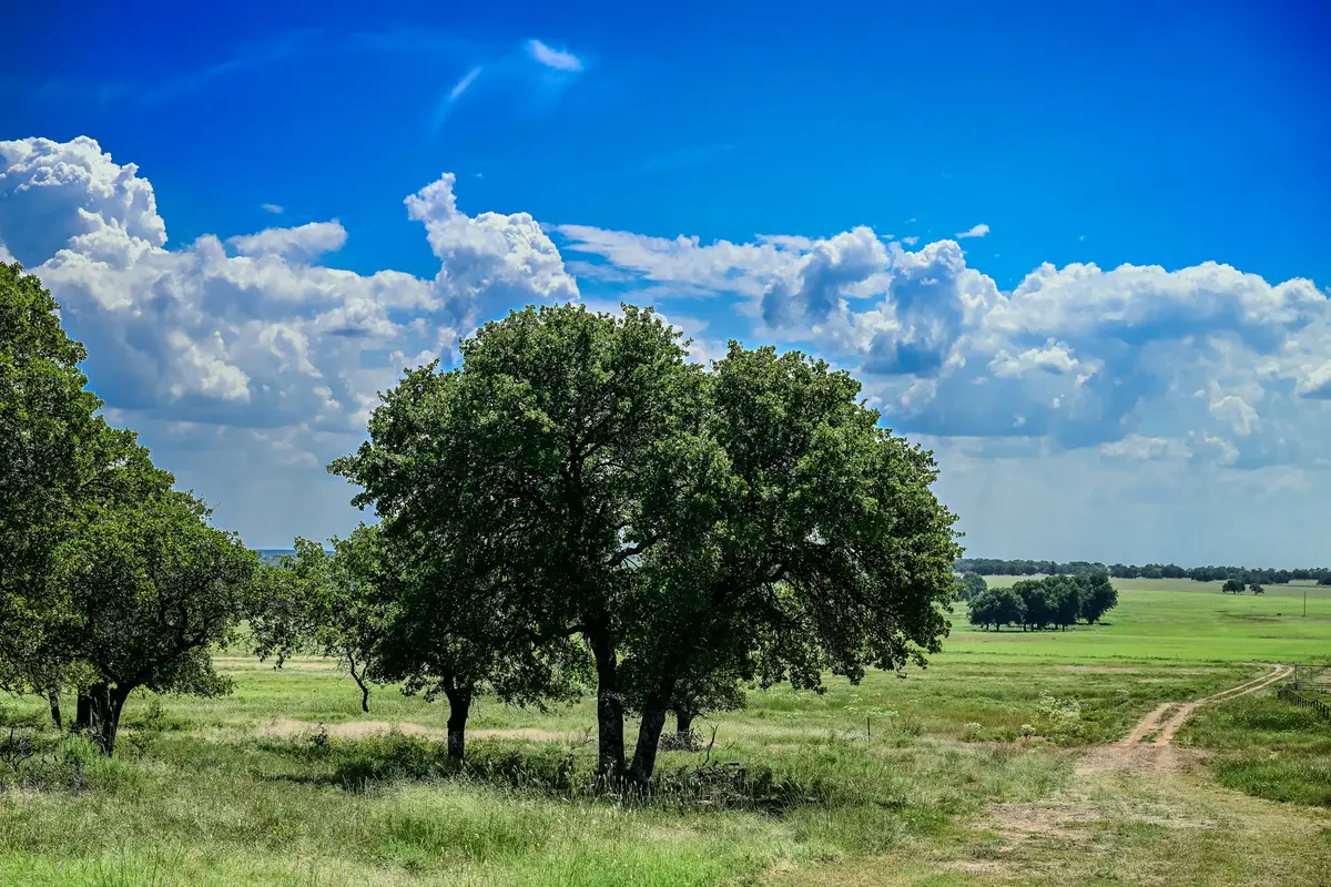 0001 W Pleasant Valley Road, Bellevue Joy, TX 76230 - Image #1