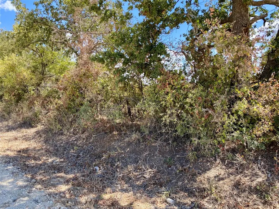 915 County Road 226, Rising Star, TX 76471 - Image #2