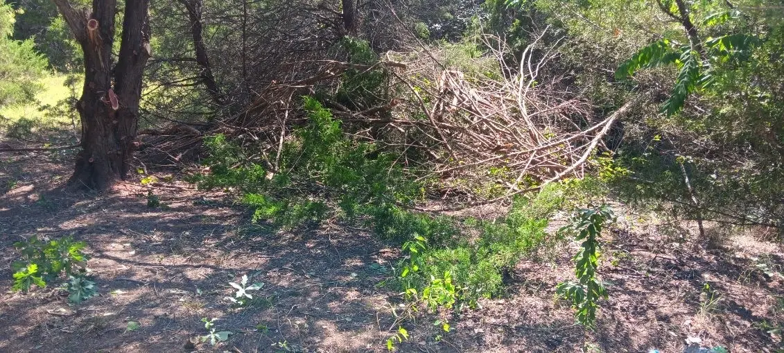 TWB County 3114 Road Nw, Purdon, TX 76679 - Image #1