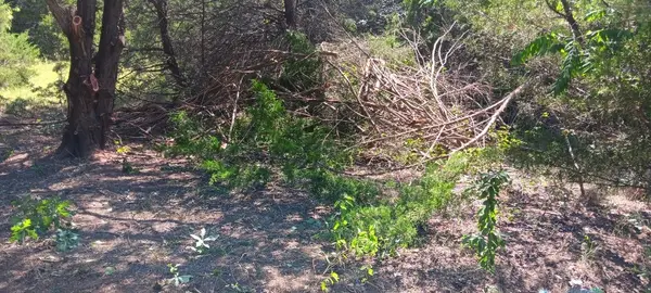 TWB County 3114 Road Nw, Purdon, TX 76679