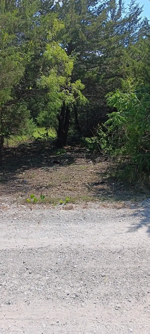 TWB County 3114 Road Nw, Purdon, TX 76679 - Image #2