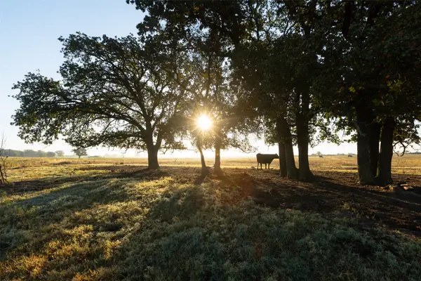 TBD Brushy Road #Tract 1 & 2, Granbury, TX 76048