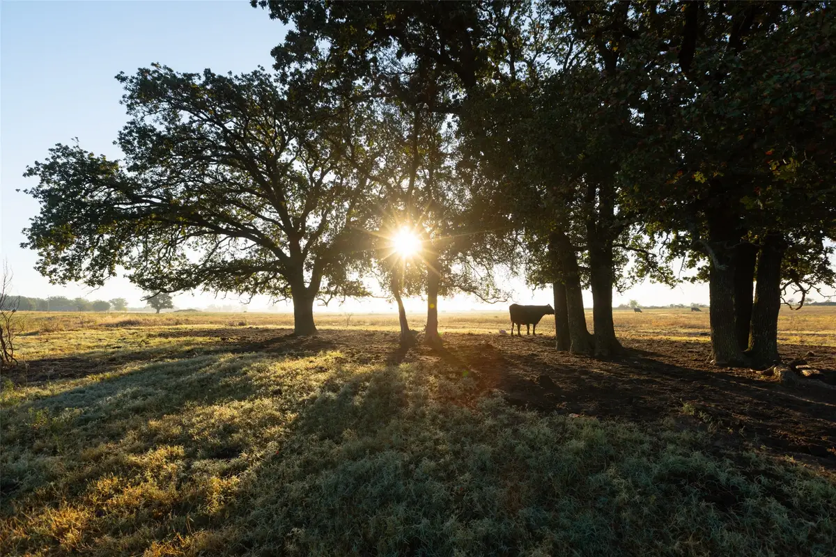 TBD Brushy Road #Tract 4, Granbury, TX 76048 - Image #1