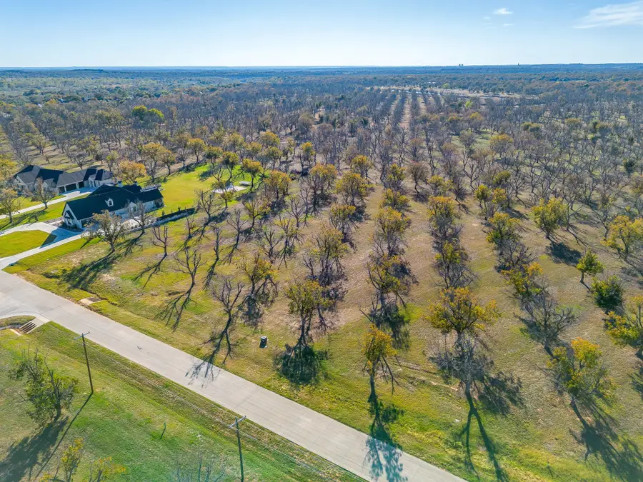 8313 W Landings Road, Granbury, TX 76049 - Image #2