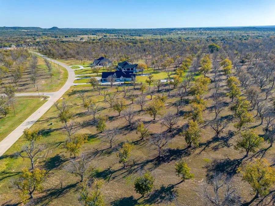 8313 W Landings Road, Granbury, TX 76049 - Image #3