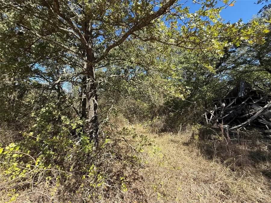 0 TBD Lakeside Drive, Bowie, TX 76230 - Image #2