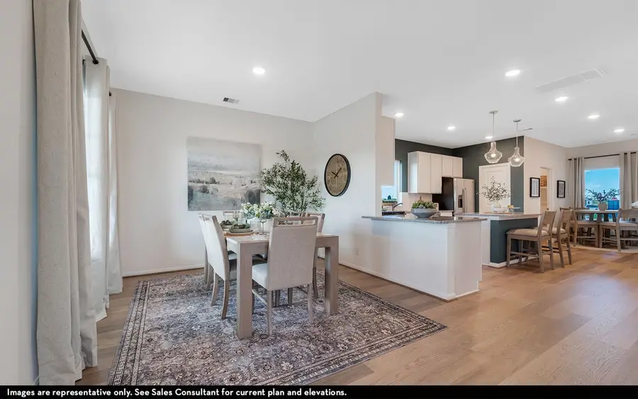 1409 Bramante Street, Celina, TX 75009 - Image #3