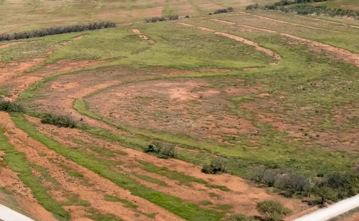 TBD Co Rd 107, Trent, TX 79561 - Image #1