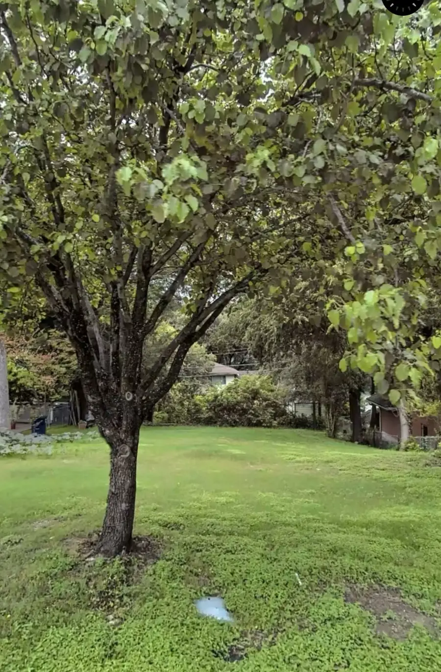 3407 Rock Bluff Drive, Dallas, TX 75227 - Image #2