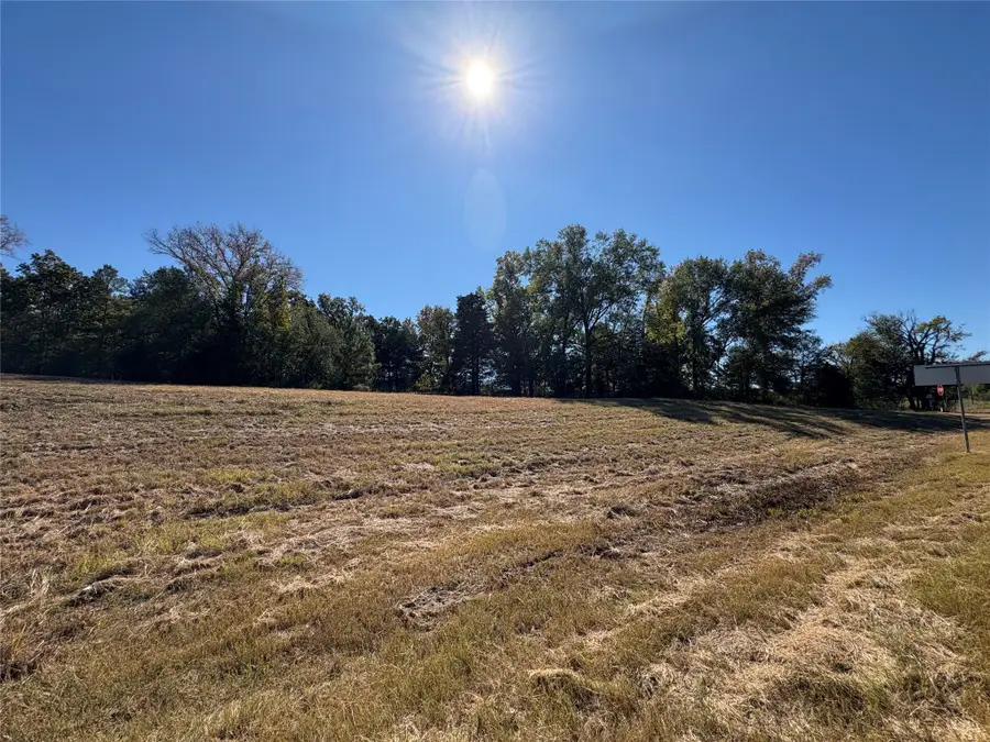 0 State Highway 155, Frankston, TX 75763 - Image #3