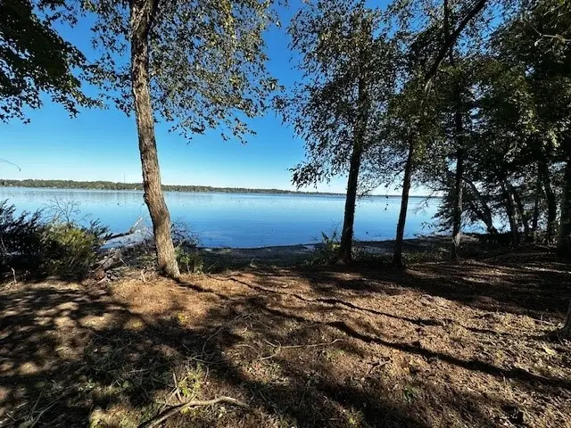 Legacy Shores Lot 21 3142 Shadow Pine Drive, Larue, TX 75770 - Image #1