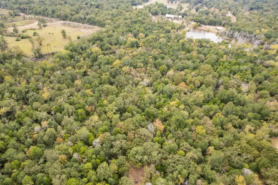 132 County Road 507, Fairfield, TX 75840 - Image #3