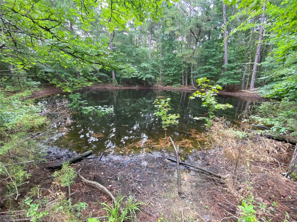 TBD Cr 3133, De Berry, TX 75639 - Image #1