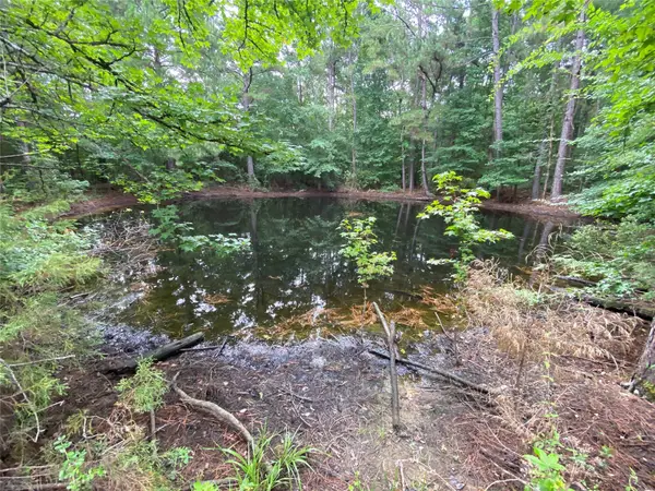 TBD Cr 3133, De Berry, TX 75639