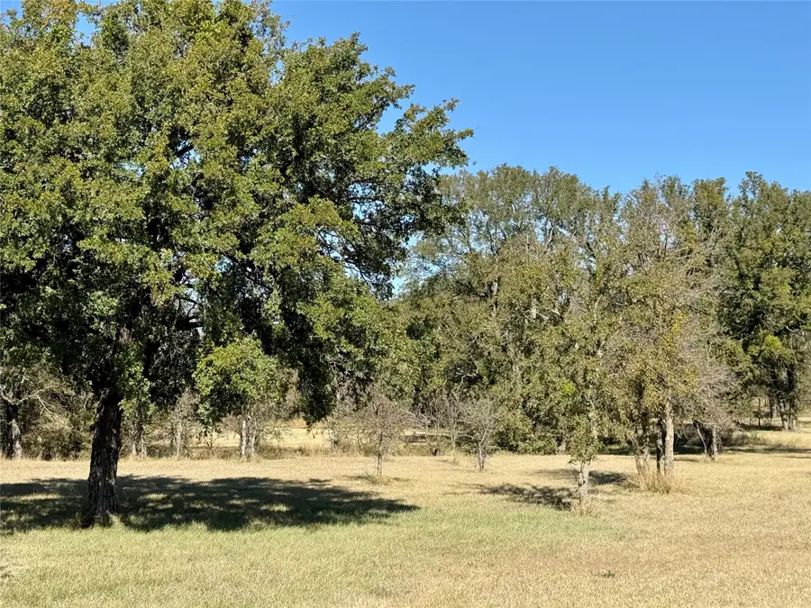 170A Sendera Drive, Early, TX 76802 - Image #3