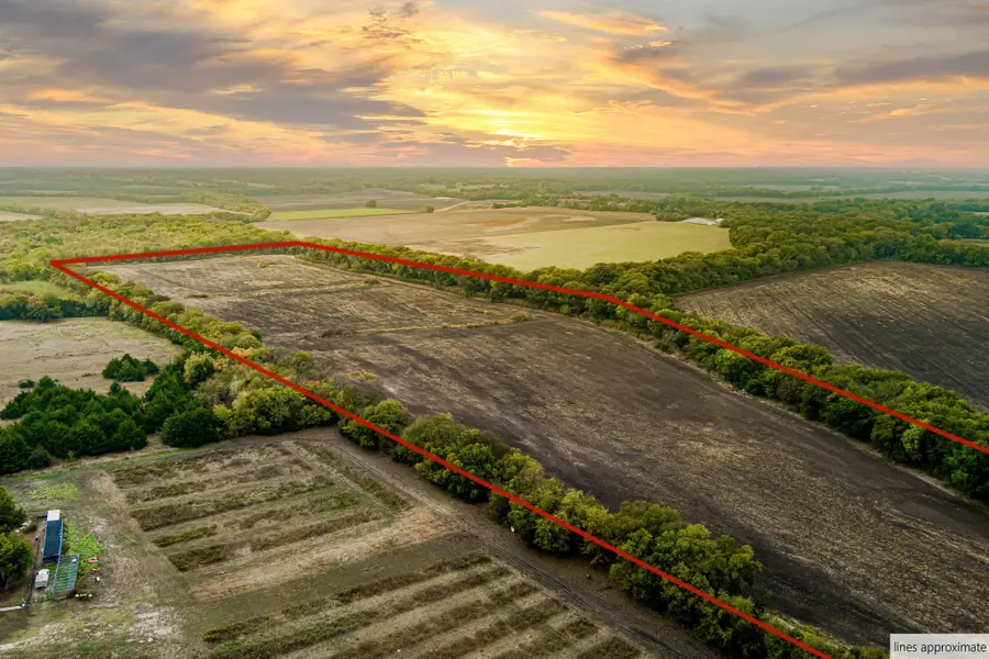 TBD 54.757 AC County Road 4642, Trenton, TX 75490 - Image #3