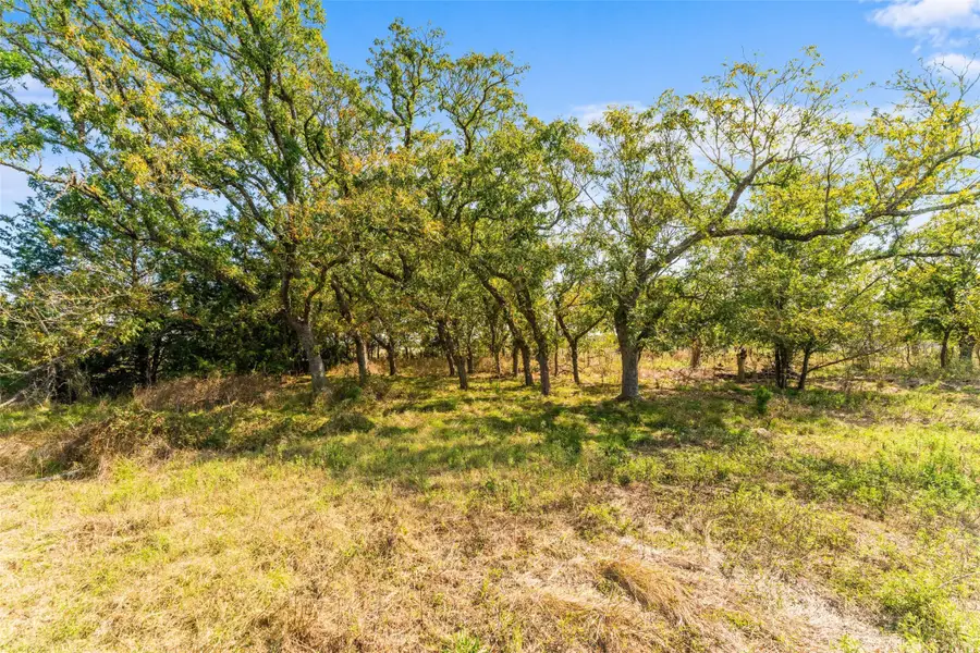 TBD Hwy 14, Thornton, TX 76687 - Image #2
