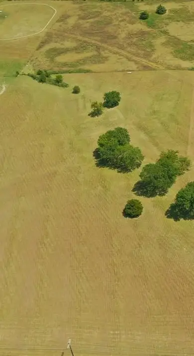 5205 S Fm 549, Rockwall, TX 75032 - Image #3