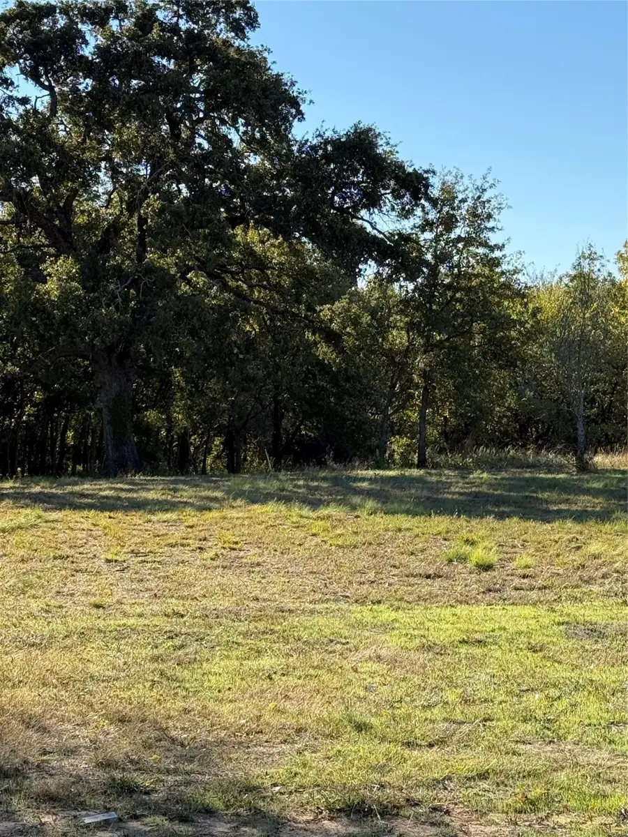 1113 Gonzollas Road, Springtown, TX 76082 - Image #2