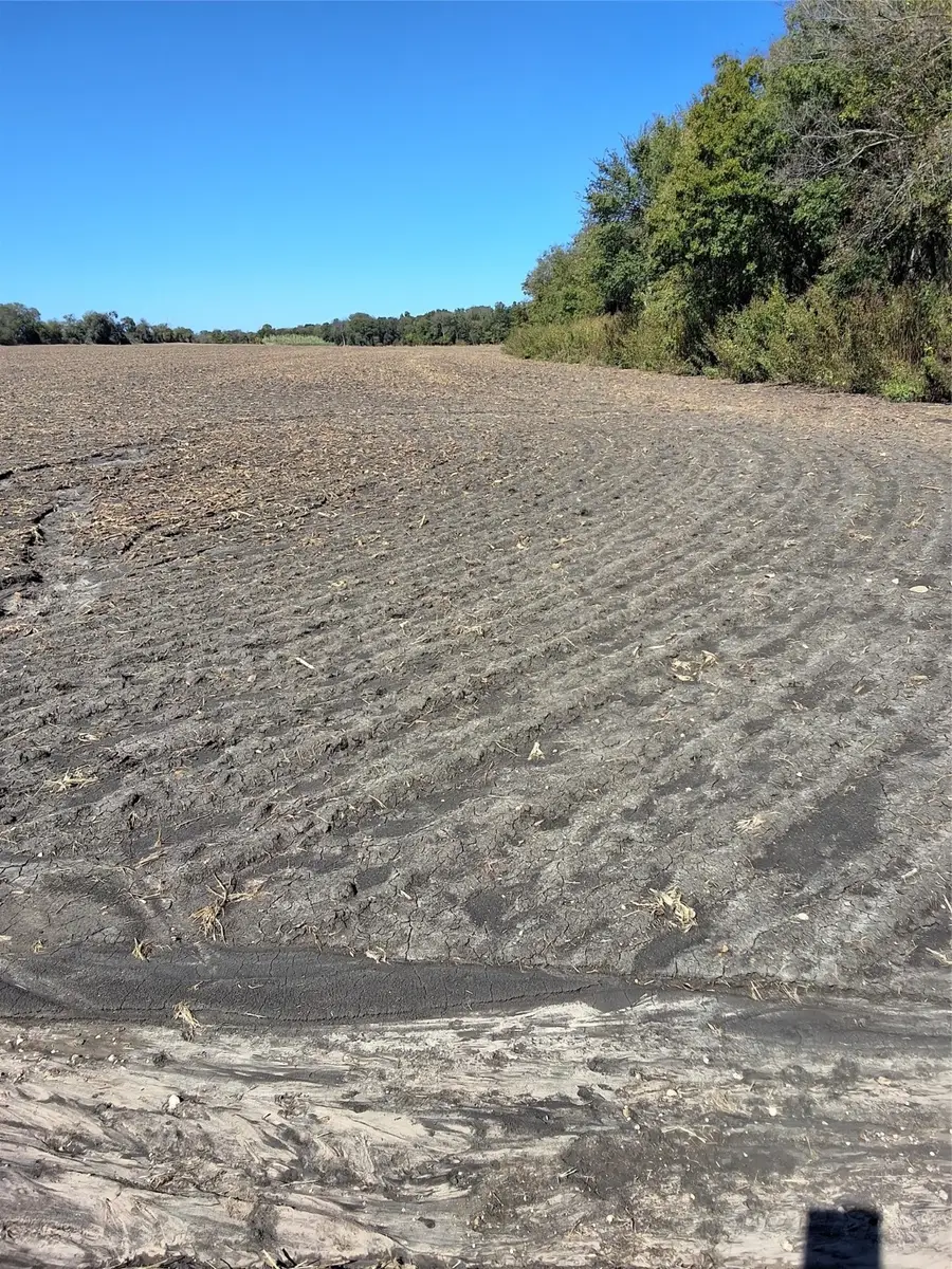 T B D Hcr 3124 (main St), Bynum, TX 76631 - Image #3