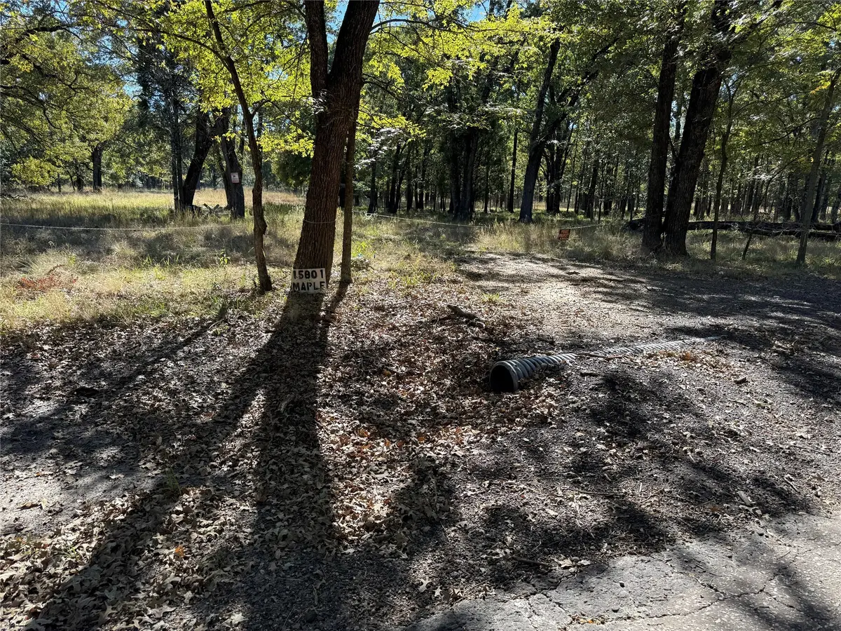 15801 Maple Lane, Malakoff, TX 75148 - Image #1