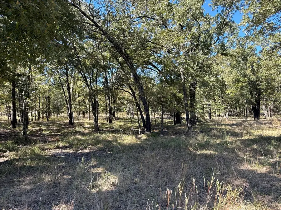 15801 Maple Lane, Malakoff, TX 75148 - Image #3