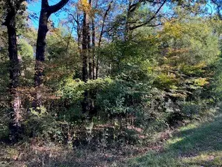 TBD Lot 56 Dogwood Drive, Trinidad, TX 75163 - Image #2