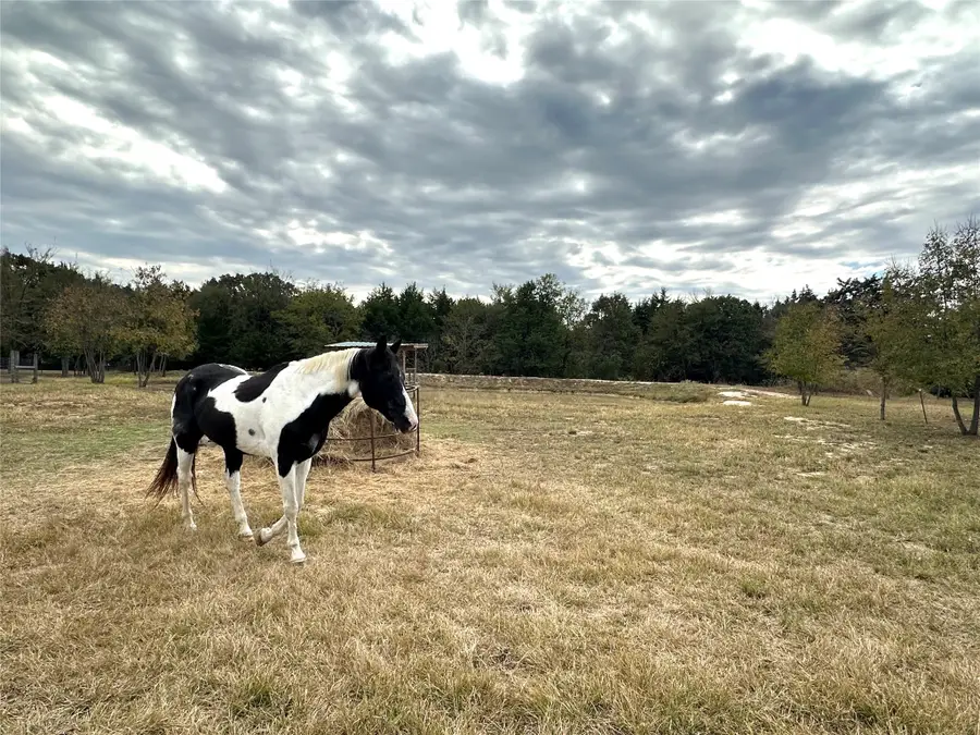 2430 County Road 2265, Telephone, TX 75488 - Image #2