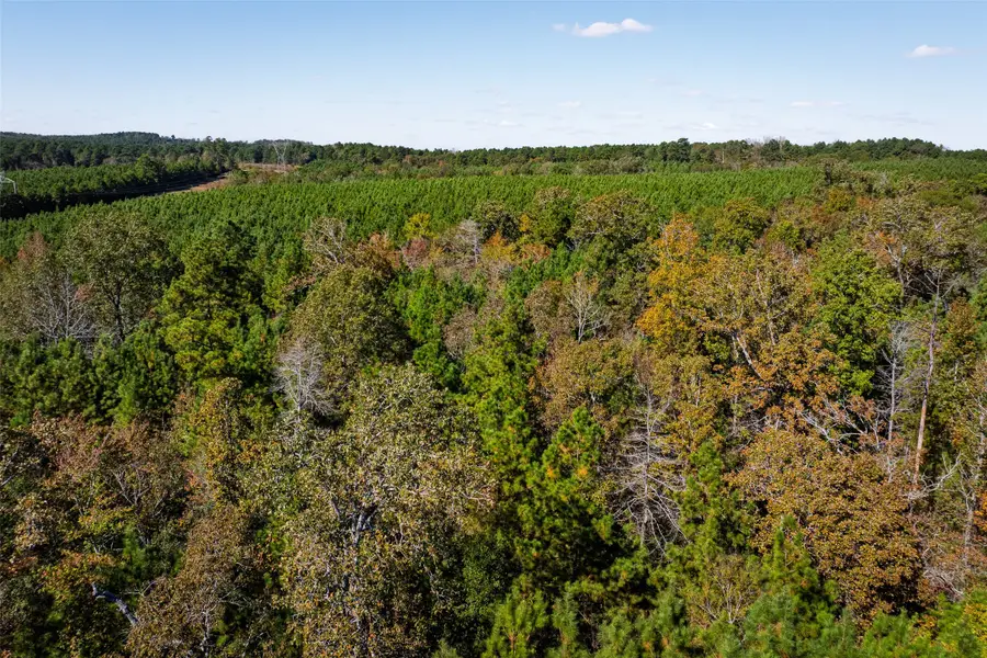 00 County Road 857, Nacogdoches, TX 75964 - Image #2