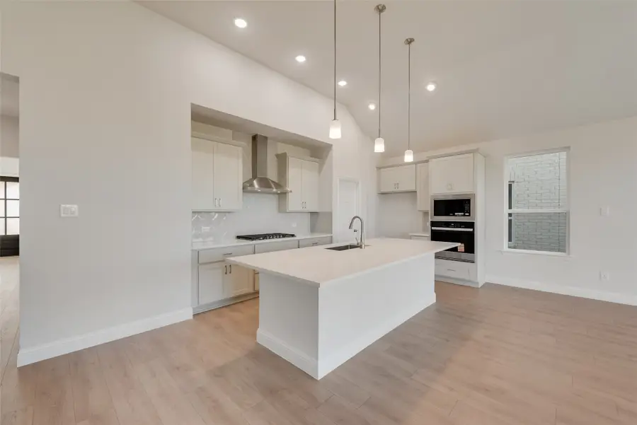 16521 Boston Ivy Drive, Justin, TX 76247 - Image #3