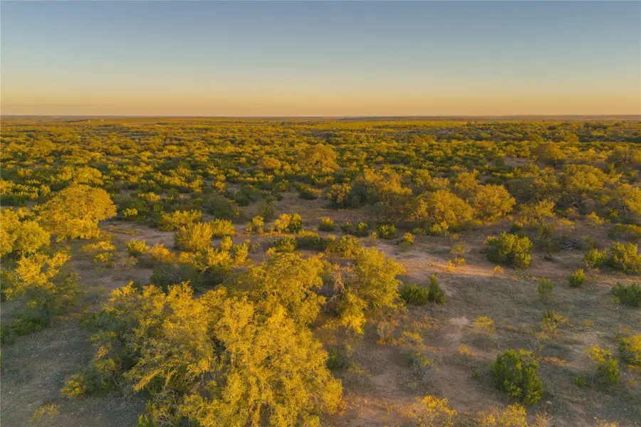 TBD County Road 404, Valera, TX 76884 - Image #2