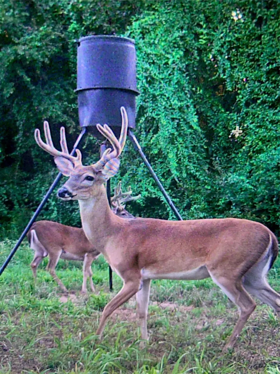 TBD County Road 1103, Athens, TX 75751 - Image #2