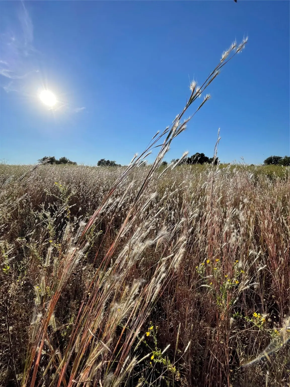 935 Vz County Road 3201, Wills Point, TX 75169 - Image #1