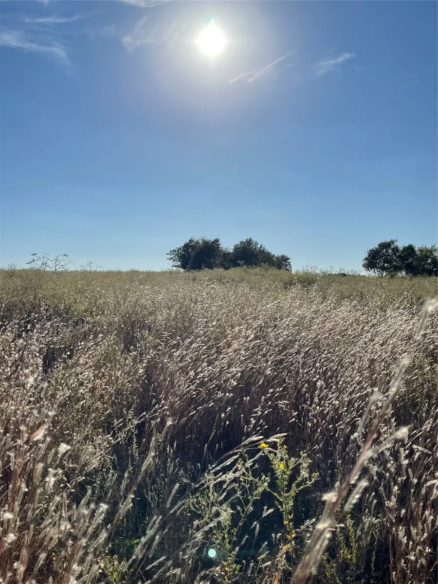 935 Vz County Road 3201, Wills Point, TX 75169 - Image #2