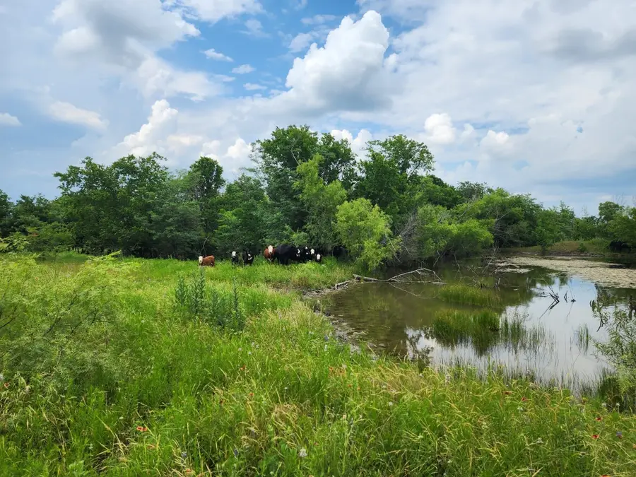 8039 Tx-34, Avalon, TX 76623 - Image #3