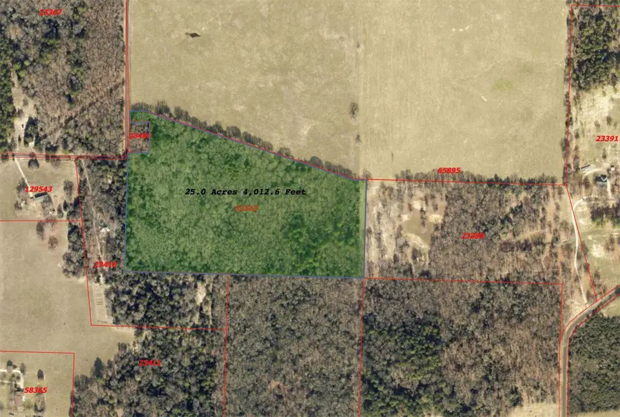 TBD Cr 3245, Quitman, TX 75783 - Image #3