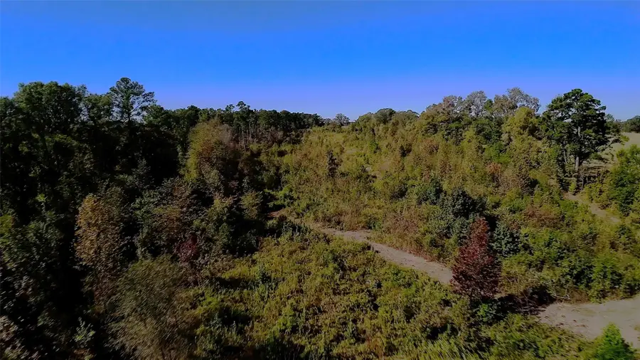 10222 Us Highway 271 N, Gilmer, TX 75644 - Image #3