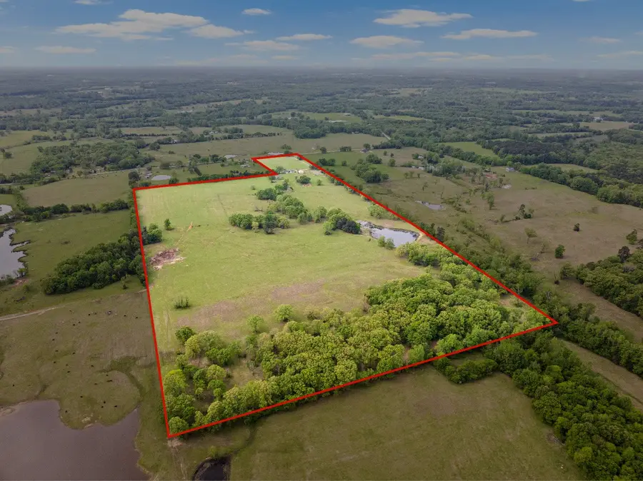 7777 Fm 1001, Cookville, TX 75558 - Image #3