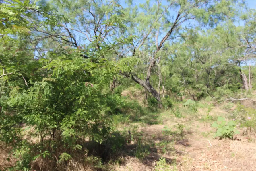 TBD Fm Rd 2860, Kemp, TX 75143 - Image #3