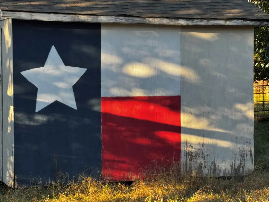 203 E Fleming Avenue, Comanche, TX 76442 - Image #3