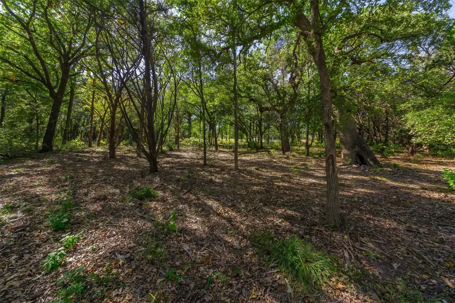 1053 Creek Crossing Road, Nemo, TX 76070 - Image #3