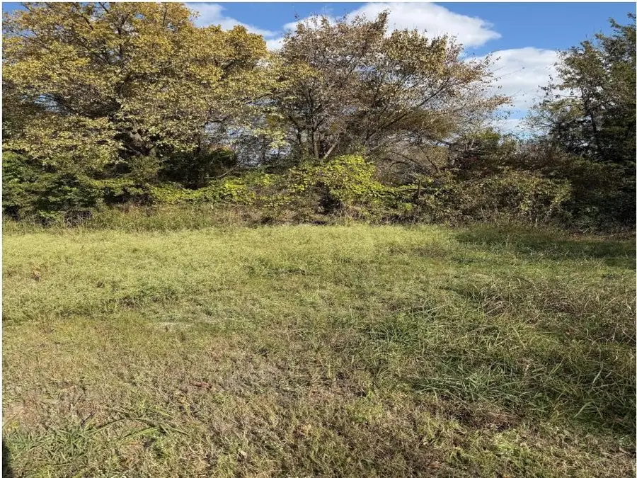 605 Bost Street, Rockwall, TX 75087 - Image #2