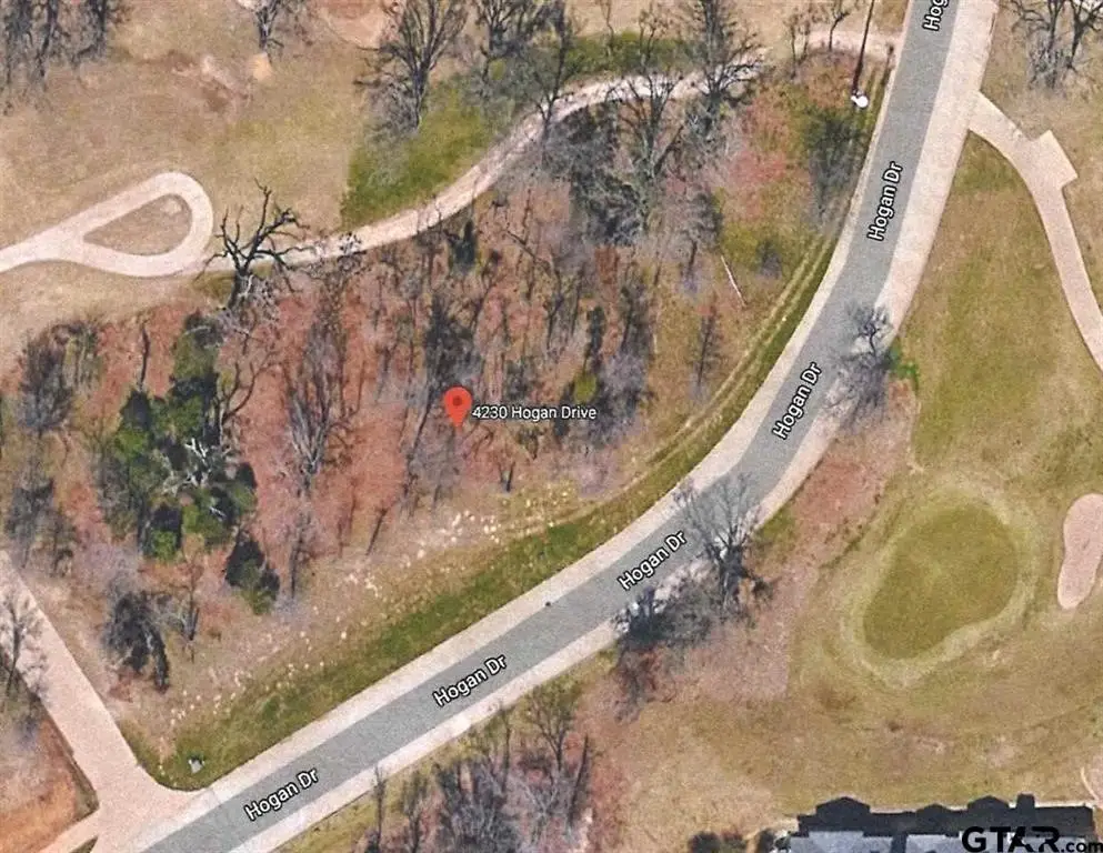 4230 Hogan Drive, Tyler, TX 75709 - Image #1