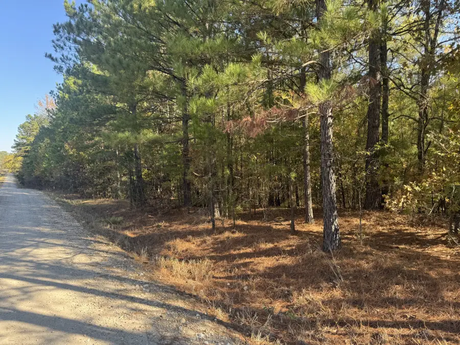 TBD Cr 2451, Clarksville, TX 75426 - Image #2