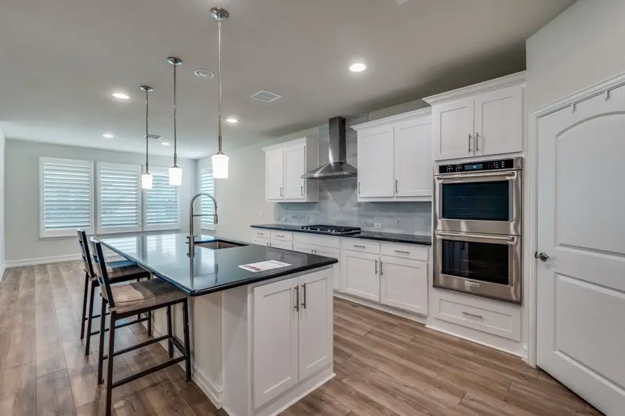 1133 Cornerstone Drive, Pilot Point Aubrey, TX 76227 - Image #3